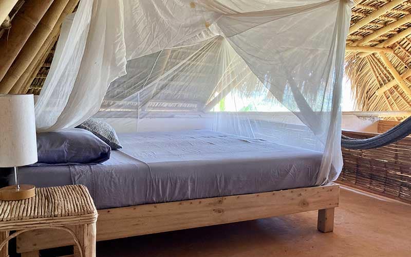 selva800x500